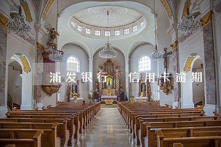 浦发银行 信用卡逾期 立案 浦发银行 信用卡逾期 立案